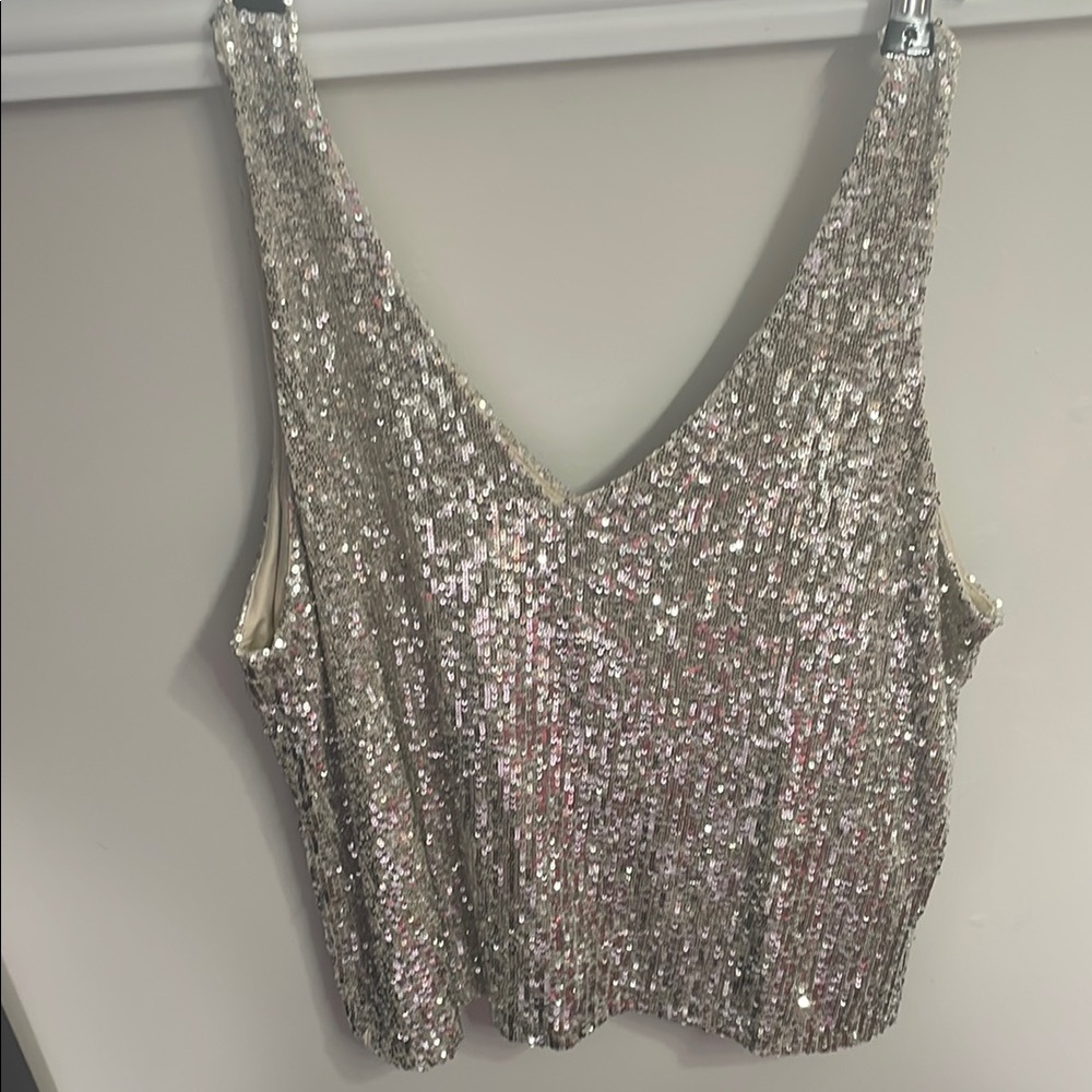 Reitmans Silver Sequin Crop Tank Top